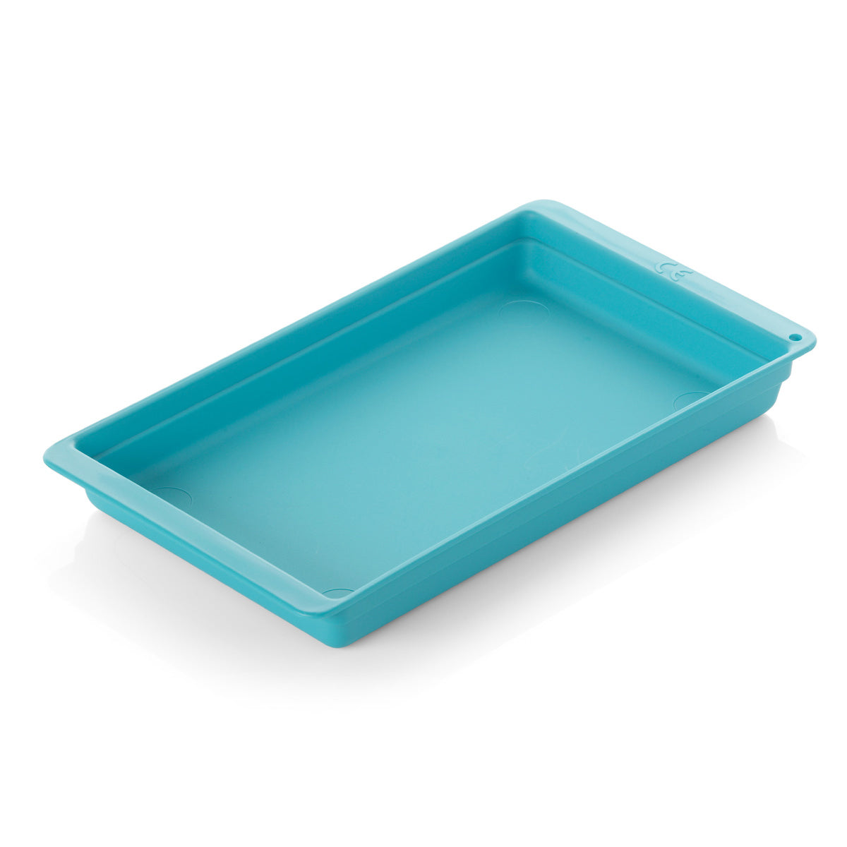 Dispensing/Dressing Tray